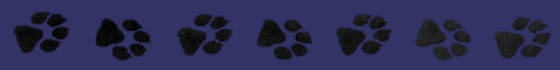footprintborder.jpg