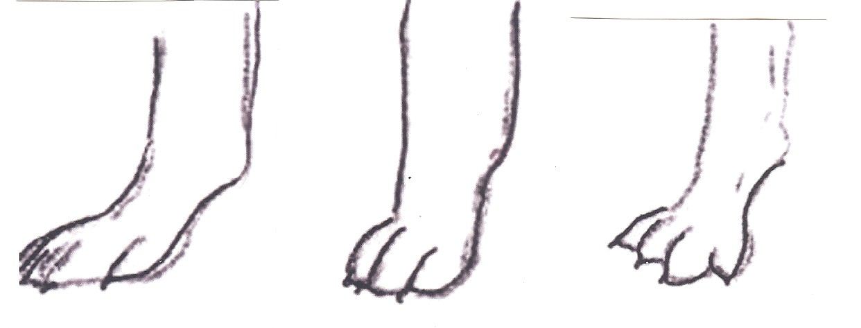 feethreetypes.jpg